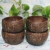 Almitra Sustainables Coconut Bowl (Pack of 4)