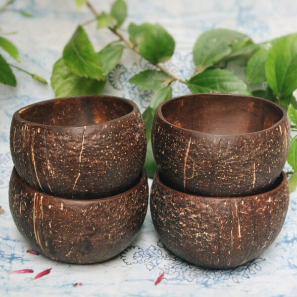 Almitra Sustainables Coconut Bowl Pack of 4