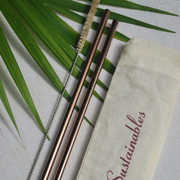 Almitra Sustainables Reusable Copper Straw (Straight) Pack of 2 with Cleaner