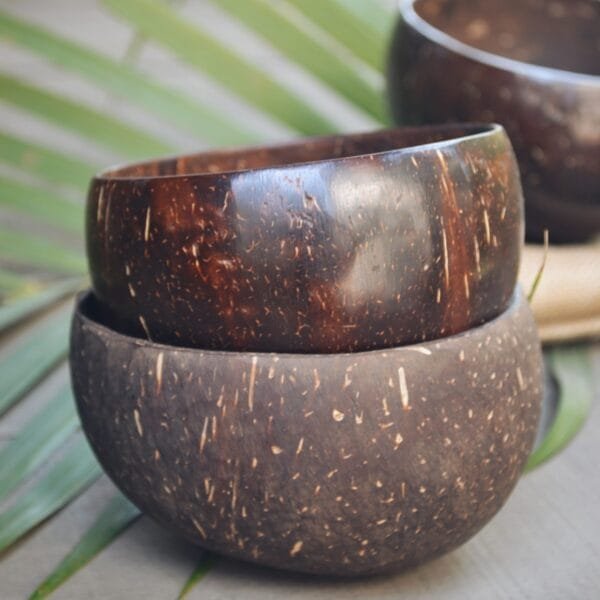 Almitra Sustainables Coconut Bowl