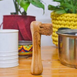 Almitra Sustainables Coconut Fiber -Bone Brush