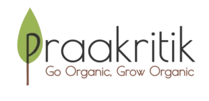 Praakritik logo