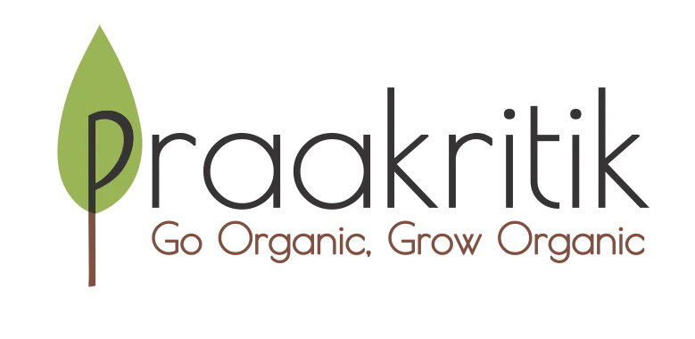 Praakritik logo